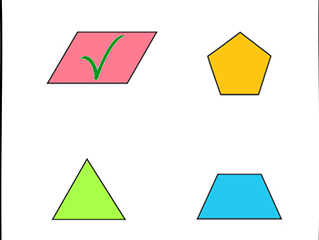 �Զ�����