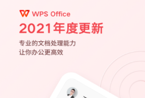 WPS office