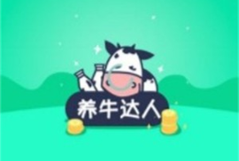 ţ