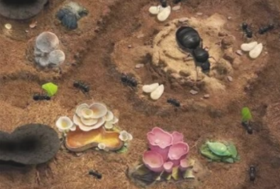 ��Ұ����ģ��