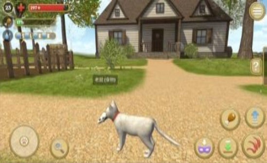 �ɰ�Сèģ����