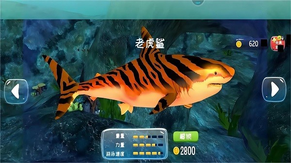 ��������ս