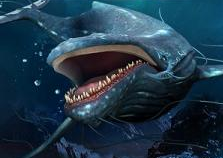 ��������ģ��