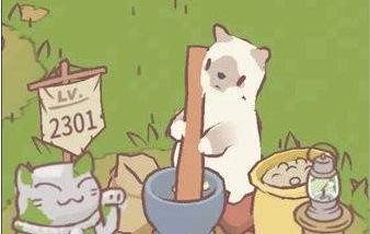 ̽��èģ����