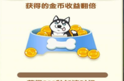 �������ɼ�