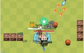 �Ҷ�����