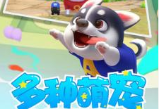 ���찮�ȳ�