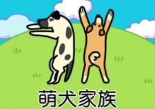 ��Ȯ����