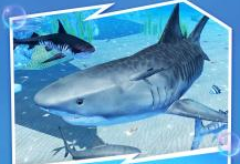 �����������ɱ