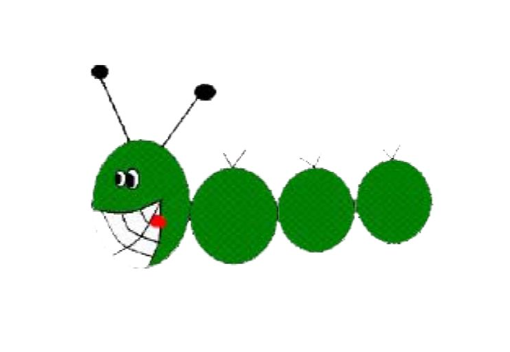 2019ƻĵϷ