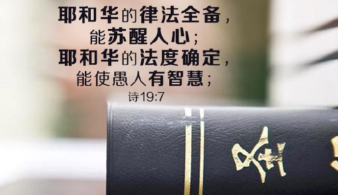 ΢��ʥ��app�汾��ȫ