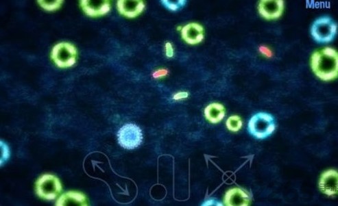 ΢����ģ�����������������̵�