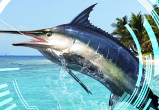 ��������޸İ����޽���̵�