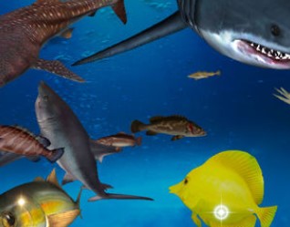 ��������ڹ��޸İ��̵�