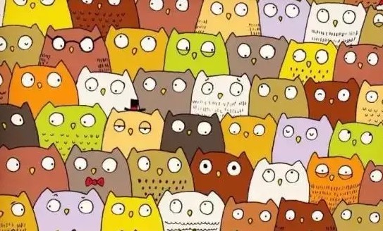 �ʺϴ�������Ҳ���Ϸ�ϼ�