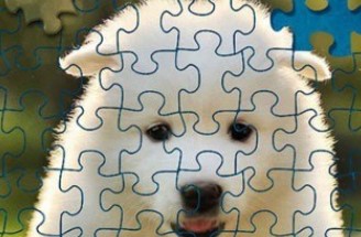 �ֻ��Զ���ƴͼ��Ϸ�ϼ�