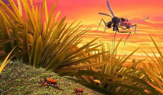 ����ģ�������޳�Ʊ��ʯ��ϼ�