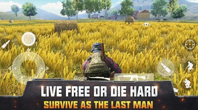 ����С�ӵ�����ϼ�