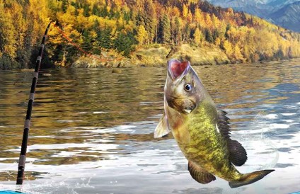 ���Ե����������Ϸ�̵�