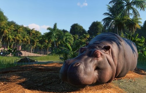 ���Խ��趯��԰����Ϸ�̵�