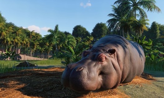 �����Լ��޽�����԰����Ϸ�ϼ�