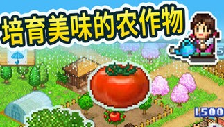 ������������������Ϸ�ϼ�