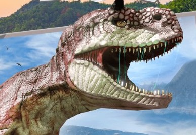 ���������Ŀ�����Ϸ�ϼ�