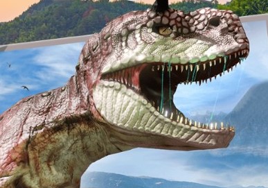 ������������Ϸ�̵�