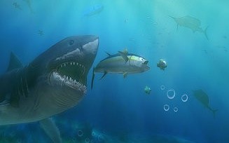 ��������������Ϸ�̵�