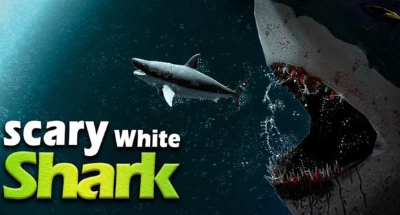 �й��������Ϸ�ϼ�