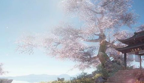 �ܰ�ʦ���������κϼ�