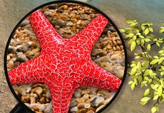 �Ϻ���С��Ϸ�ϼ�