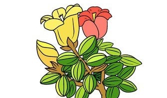 ��������Ϳɫ����Ϸ�ϼ�