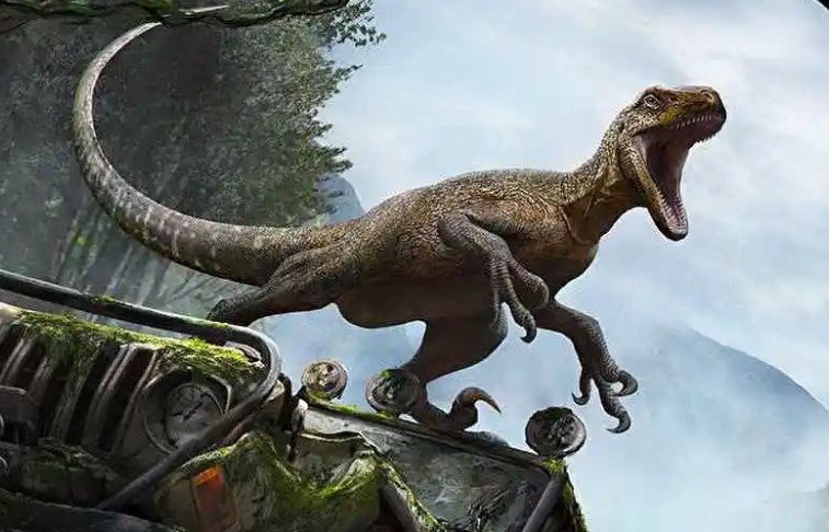 �����������Ϸ�ϼ�