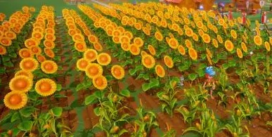 ����ȥ��ֲ�ʻ�����Ϸ�̵�