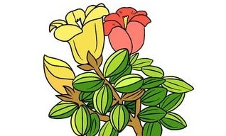 ����Ϳ��ɫ��Ϸ�ϼ�