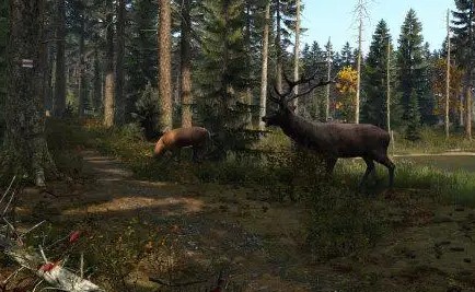 ����ѱ�����������������Ϸ�ϼ�