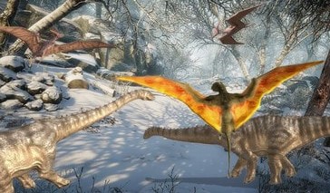 �����ץ����������Ϸ�̵�