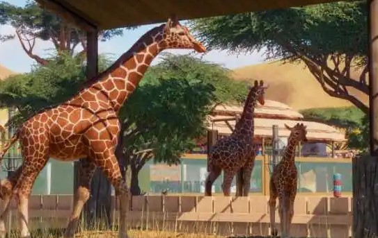 �Լ���Ӫ����԰����Ϸ�̵�