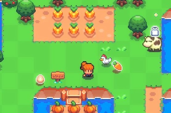 �����Լ����������������Ϸ�ϼ�