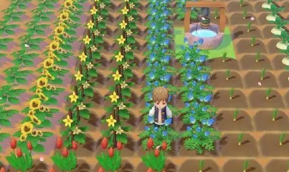 ��������ﾭӪ��Ϸ�ϼ�