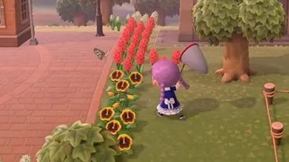 �����������ֻ���Ϸ�̵�