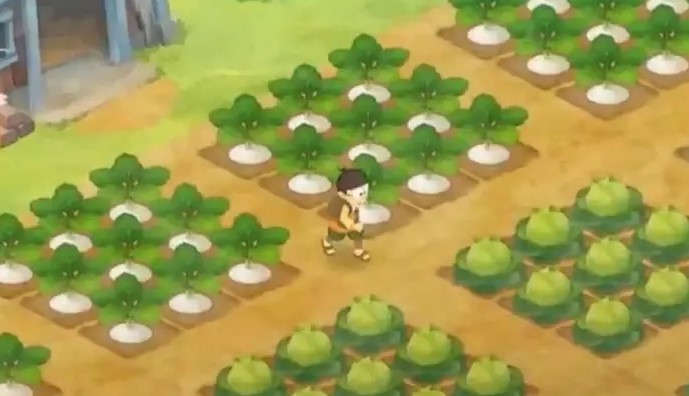 ���Ը�����һ���������Ϸ�ϼ�