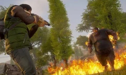 ����������ɥʬ�������κϼ�