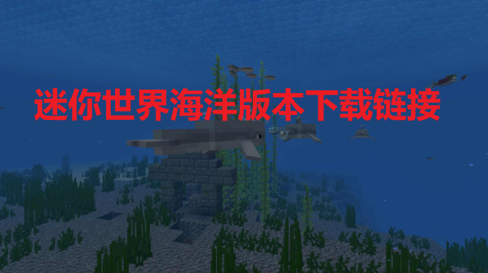 �������纣��汾��������