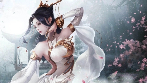 �������������Ƽ�