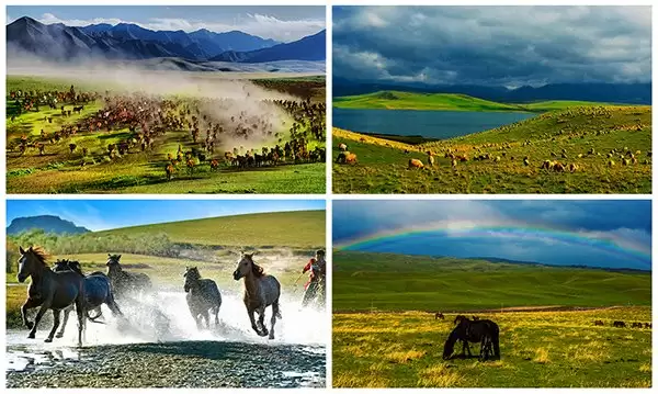 ��������ý����!ħ���������Я����Ҵ����Ѫ��������,�����Ļ�����_xiayx.com