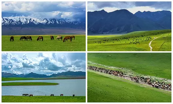 ��������ý����!ħ���������Я����Ҵ����Ѫ��������,�����Ļ�����_xiayx.com