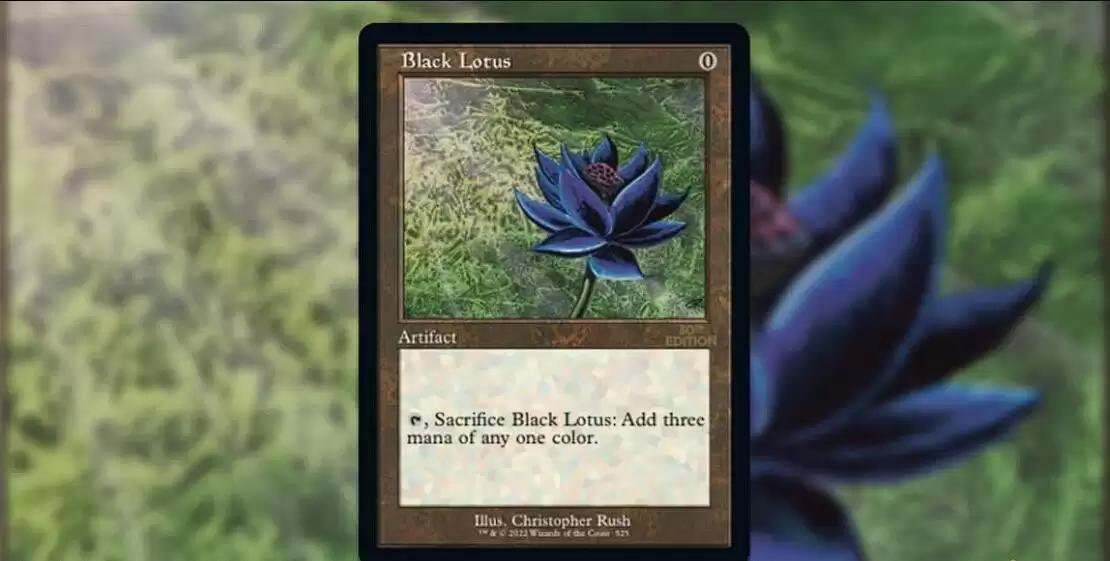 �����ƺ������ĳ�300����Ԫ����¼
