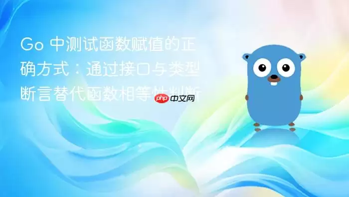 Go �в��Ժ�����ֵ����ȷ��ʽ��ͨ���ӿ������Ͷ����������������ж�